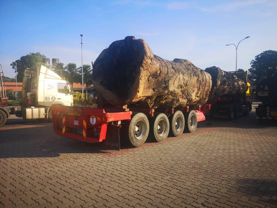 Flatbed Equipment Hauler